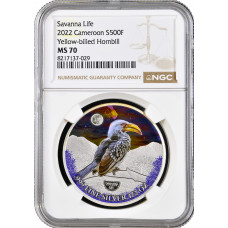Cameroon 500 francs 2022, NGC MS70, "Savanna Life - Yellow-billed Hornbill"
