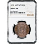 Аргентина 2 сентаво 1890 г., NGC MS64 BN, "Песо аргентинское (1881 - 1969)" Top Pop