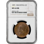 Аргентина 2 сентаво 1891 г., NGC MS64 RB, "Песо аргентинское (1881 - 1969)"