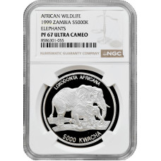Sambia 5000 Kwacha 1999, NGC PF67 UC, "Elefant und Kalb" Silbermünze