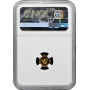 Kongo 100 Franken 2017, NGC PF69 UC, "Fauna Afrikas - Wasserbüffel" Top Pop Gold
