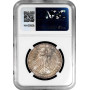 Frankfurt 1 thaler 1863, NGC MS64, "Assembly of Princes" silver coin