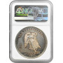 Germany silver medal 1860, NGC MS62, "Papenburg Insurance Co." Top Pop