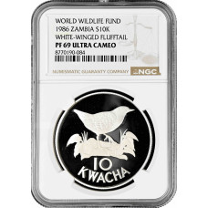 Замбія 10 квача 1986, NGC PF69 UC, "World Wildlife Fund - White-Winged Flufftail"