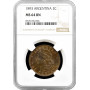 Argentinien 2 Centavos 1893, NGC MS64 BN, "Argentinischer Peso (1881 - 1969)"Top