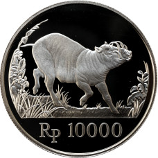 Indonesia 10000 rupiah 1987, PROOF, "Wildlife - Wild Boad" silver coin