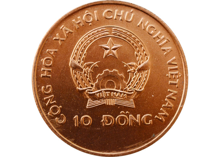 Вьетнам 10 донгов 1992 г., UNC, "Чемпионат мира по футболу 1994"