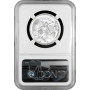 USA half dollar 1934, NGC MS64, "100th Anniversary - State of Texas"