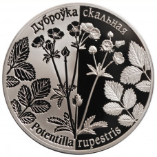 Belarus 1 ruble 2017, PROOF, "Regenerated Plants - Potentilla rupestris"