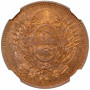 Argentina 1 centavo 1880, NGC MS63 RB PATTERN, "Argentine Peso (1881 - 1969)"