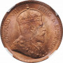 British Honduras 1 Cent 1904, NGC MS64 RB, "König Edward VII (1902 - 1910)"